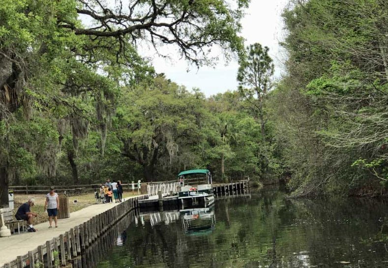 Lake Griffin State Park, Florida, USA